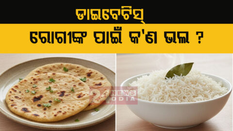 rice or roti which is better